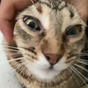 Meet your Posher, Raul